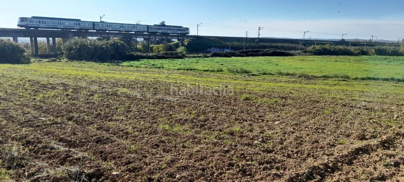 Foto f633bff7-b83a-46a5-9af1-703c65ddc44e. Finca rústica a El Higuerón Córdoba