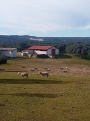 Bauernhof in Cardeña. Finca de dehesa de 30 hectáreas en plena sierra morena cordoba