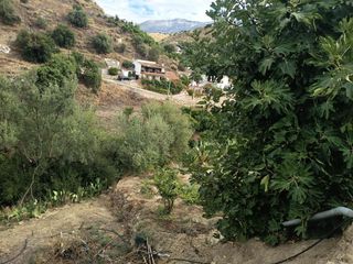 Finca rústica a Canillas de Aceituno