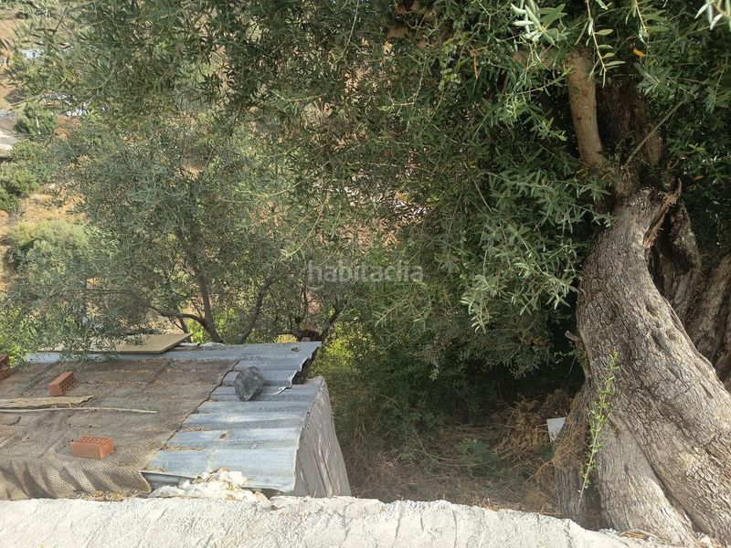 Foto 03c639c5-81eb-4358-8262-4f109e9781f7. Finca rústica a Cortes-Huertas Madrid