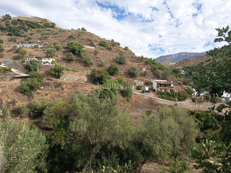 Foto 5ba0b66a-75fa-41a9-b24a-61eabe160edd. Finca rústica a Cortes-Huertas Madrid
