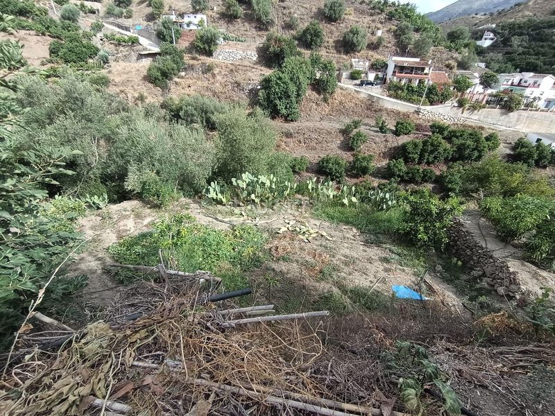Foto bed4dd65-48ae-4bd5-8543-7d4f00e68375. Finca rústica a Cortes-Huertas Madrid