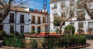 Apartament a Casco Histórico  - Ribera - San Basilio. Estupendo apartamento zona s. pedro