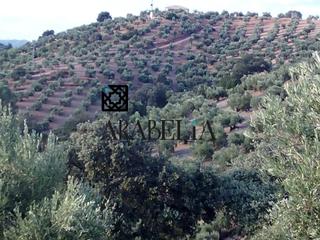 Mas à Montoro. Finca rústica cerca de montoro