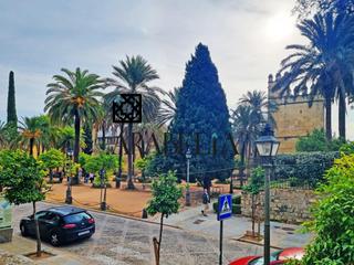 Appartement à Casco Histórico  - Ribera - San Basilio. Piso planta baja en s. basilio