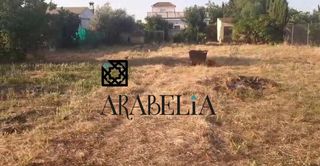 Terreny residencial a El Higuerón. Oportunidad de inversión en parcelas  la barquera, córdoba