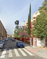 Pis a Sagunto - Edisol