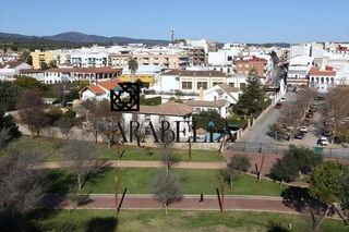 Pis en El Brillante -El Naranjo - El Tablero. Acogedor piso en el barrio del naranjo, c�rdoba