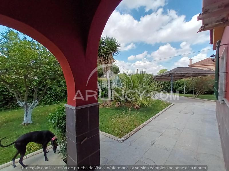 Foto 55837f20-1dd3-4746-ab6b-555c5536397d. Chalet dos chalets de una planta en suelo urbano en Alcalá de Guadaira