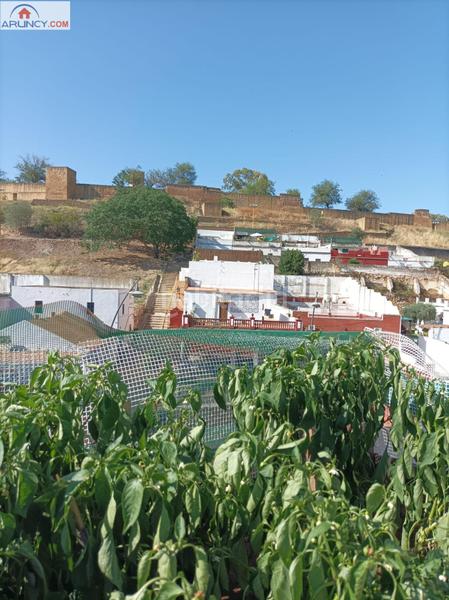 Foto 7c192eba-862d-4a6d-bedc-2203b00ba97c. Casa  en planta alta con bonitas vistas al parque oromana y el castillo en Alcalá de Guadaira