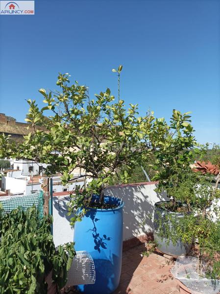 Foto d083f7be-d7c7-433b-9511-bcab470bd943. Casa  en planta alta con bonitas vistas al parque oromana y el castillo en Alcalá de Guadaira