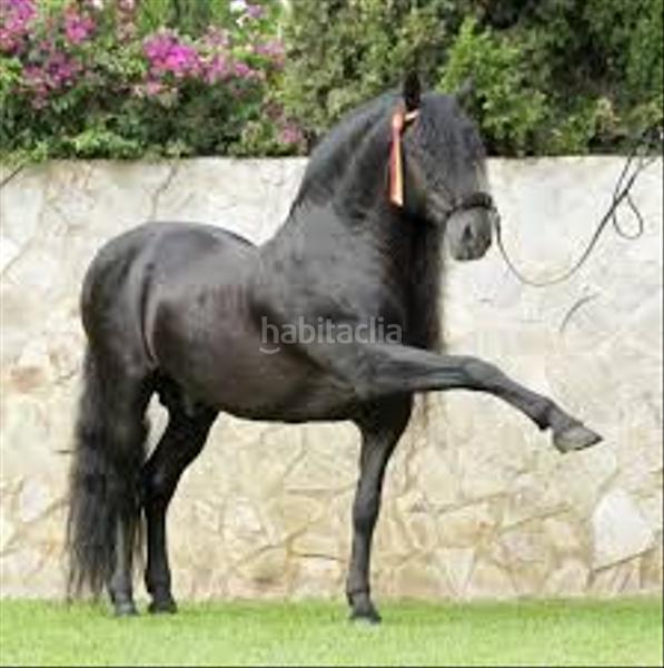 Foto fa8c2e1d-5867-4737-be48-8afb91532061. Haus mit heizung pool in Montalnou - Milans del Bosc Sant Vicenç de Montalt