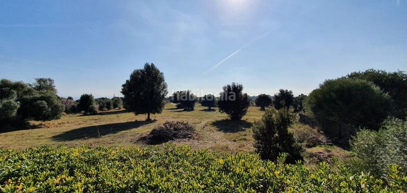 Foto 52dcda16-b67b-4f70-9c95-0b4e91da089d. Mas dans Arenys de Munt