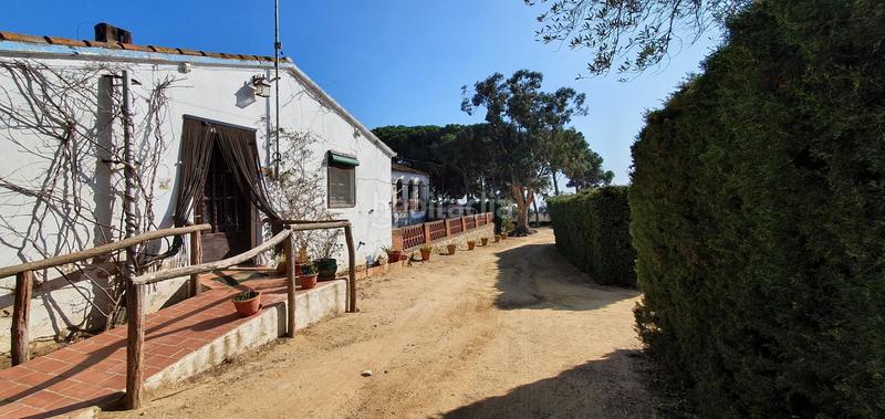 Foto 5785a9af-a24f-48c7-b7d0-da2ec06399fa. Mas dans Arenys de Munt