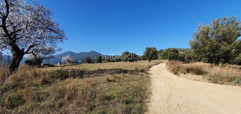Foto 82912b65-45b6-4ec4-aa28-eeead602ce96. Mas dans Arenys de Munt