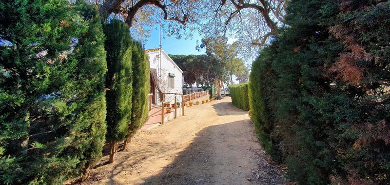 Foto 8ad33ed9-de21-4b91-ae97-817b2a66880b. Mas dans Arenys de Munt