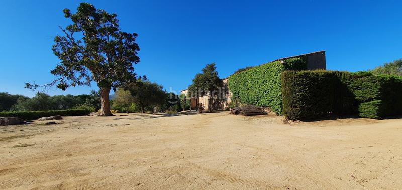 Foto 8d0a6167-6953-415d-a0f2-717382492543. Mas dans Arenys de Munt