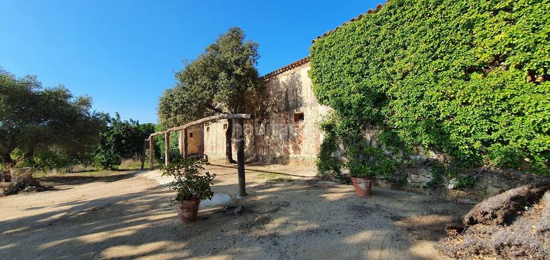 Foto 8faae287-0955-4622-9aff-02151330cca4. Mas dans Arenys de Munt