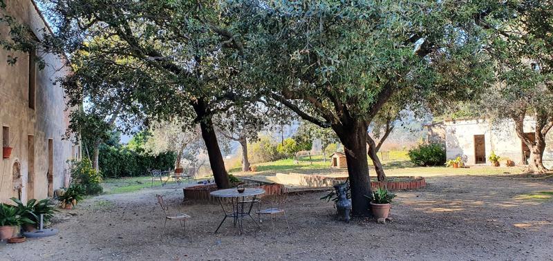 Foto 9f5451ee-a947-4161-af3e-dc529e7e9409. Mas dans Arenys de Munt