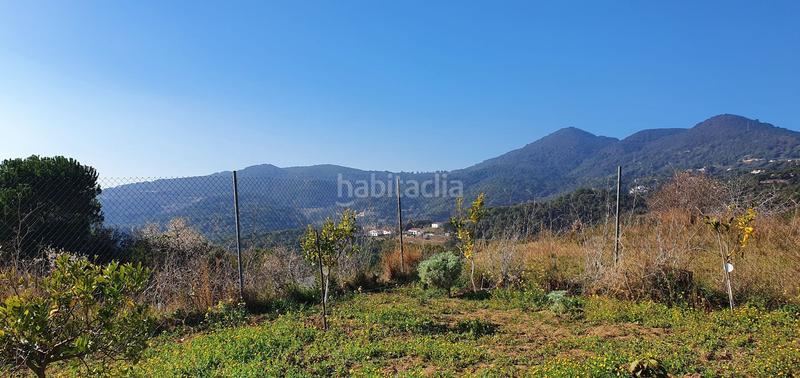 Foto a028740b-f441-43b6-b94b-f8b8a6bd46ba. Mas dans Arenys de Munt