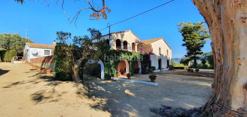 Foto b9dd3399-79bb-4160-b405-4cfe0bdeda76. Mas dans Arenys de Munt