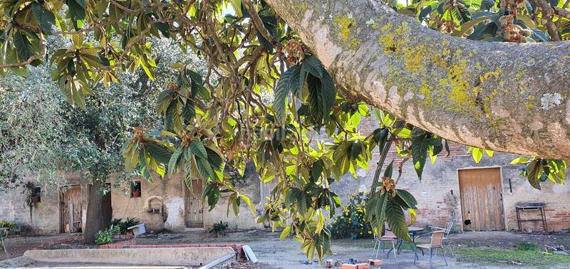 Foto c0b543fc-cb89-4143-978a-9830e2d1eab9. Mas dans Arenys de Munt