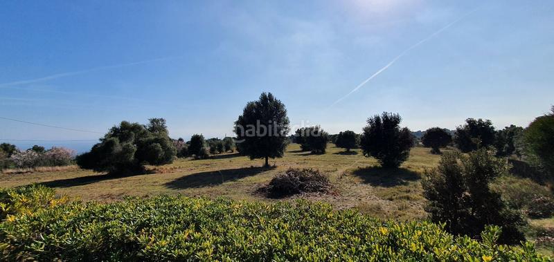 Foto c2ca716d-78ab-4e05-8386-f0b42057fb99. Mas dans Arenys de Munt