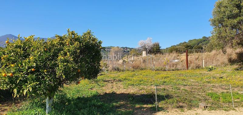 Foto f043f24a-414d-48bb-aa5a-5906166c5b1b. Mas dans Arenys de Munt