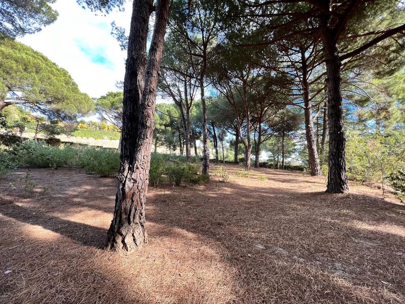 Foto ccae7d9e-5647-4170-8b73-62ba2e35e598. Maison avec chauffage piscine dans Supermaresme Sant Vicenç de Montalt