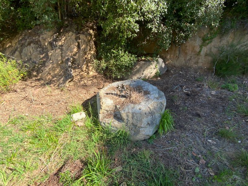 Foto bcc6cfd0-3e7c-40c8-a354-1fa9366a985e. Masia a Canyamars Dosrius