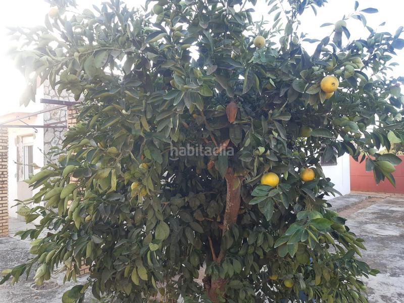 Foto 09a5f0ce-7307-4442-8bb2-11b49a713226. Chalet in Oromana Alcalá de Guadaira