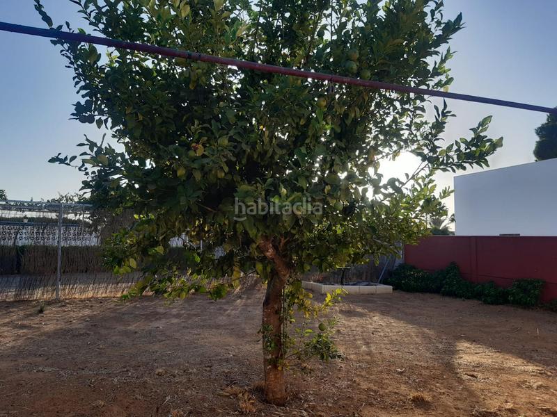 Foto 394d80b2-f624-41a7-9774-f12573533bac. Chalet in Oromana Alcalá de Guadaira