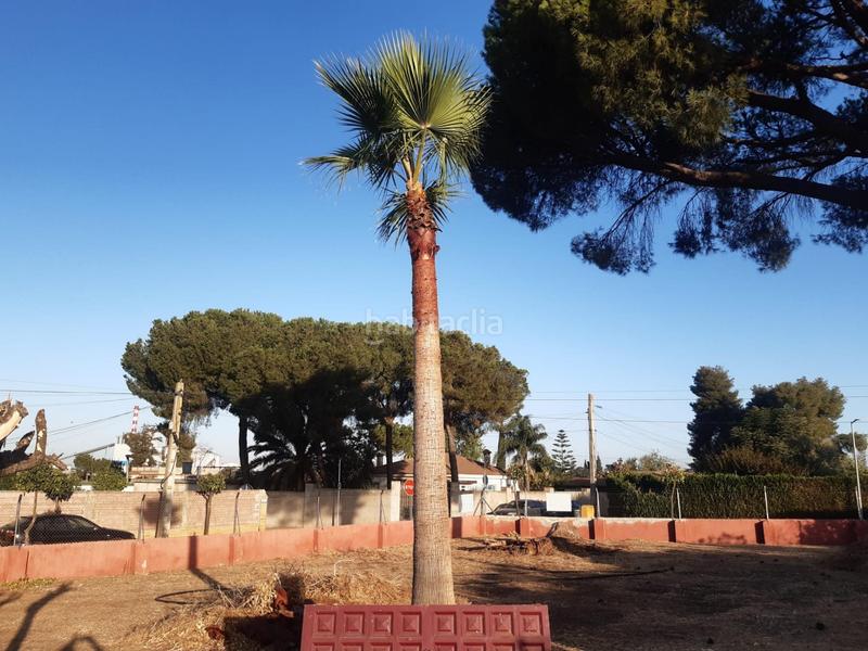 Foto 7b0c1cd8-592e-4bb6-a78b-4ffbba9f1a69. Chalet in Oromana Alcalá de Guadaira