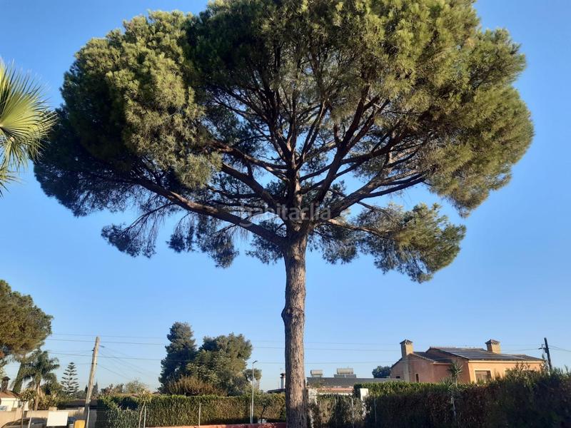 Foto ce964ef4-7a07-4910-b5e8-c9023ac516e0. Chalet in Oromana Alcalá de Guadaira