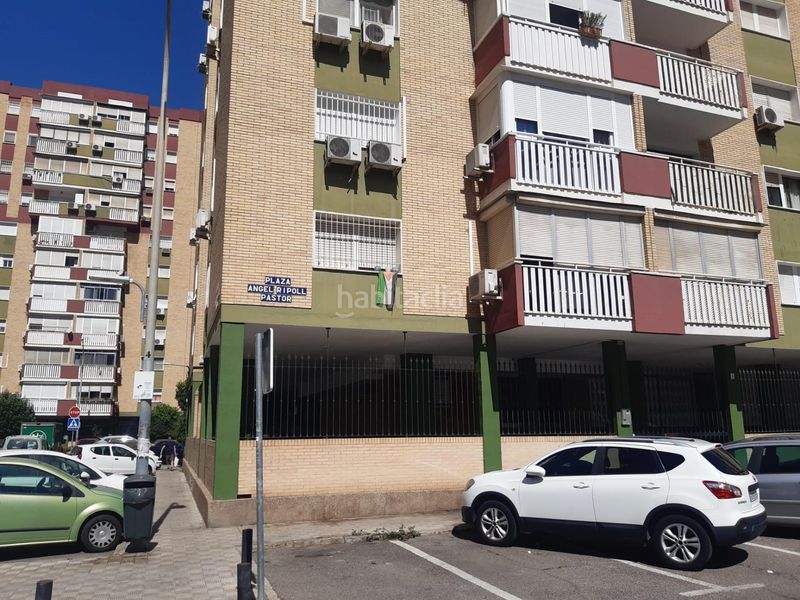 Foto 102f588c-d9db-45e6-9bed-c9378619ebc7. Pis a Sta. Aurelia - Cantábrico - Atlàntico - La Romería Sevilla