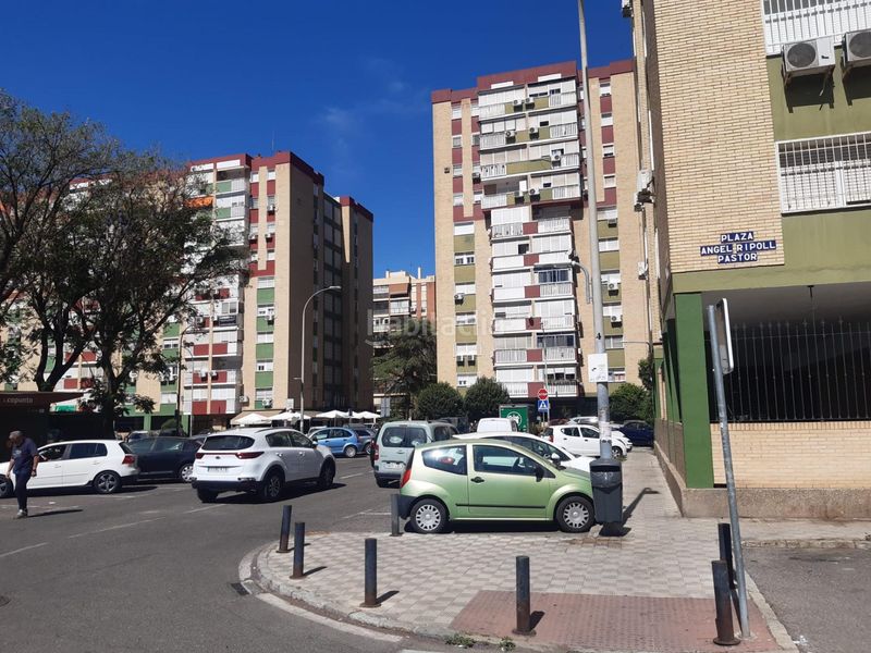 Foto 15dc5347-7473-4679-a46a-90e3483f0b64. Pis a Sta. Aurelia - Cantábrico - Atlàntico - La Romería Sevilla
