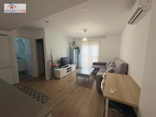 Lloguer Pis a La Calzada - La Florida. Piso en alquiler para estudiantes en zona puerta carmonaamador d