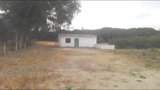 Casa a Las Lagunas - Campano. Estupenda finca en la entrada de chiclana