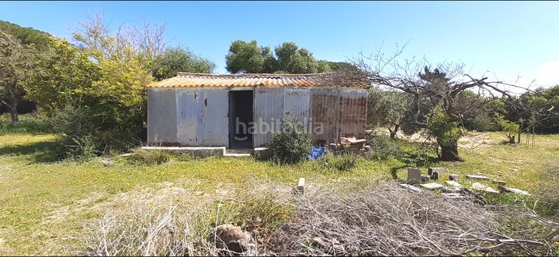 Foto 1ee59c25-a307-48f9-a8d8-b1ff3747e9c3. Masia a El Almedral Puerto Real