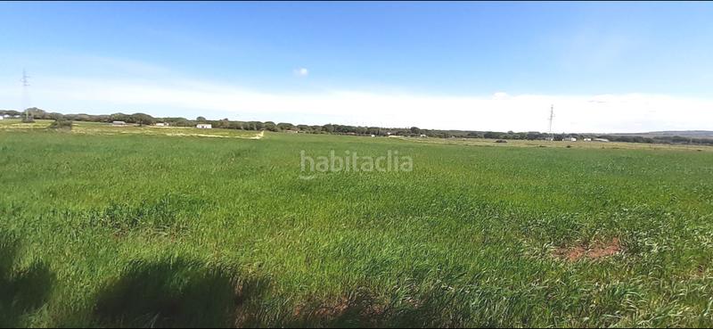 Foto 2a8184ed-2894-4317-bd72-ee877b2694f1. Masia a El Almedral Puerto Real