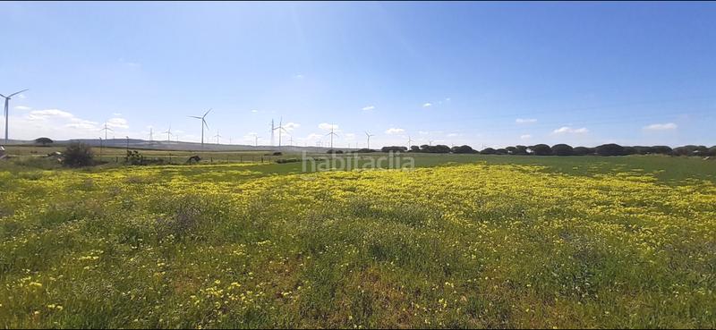 Foto 31e82500-a2db-412d-92b9-d3ae3b41d3d9. Masia a El Almedral Puerto Real
