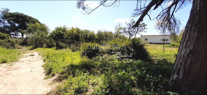 Foto 32b8540d-3817-4b62-aede-013d79e2ec83. Masia a El Almedral Puerto Real