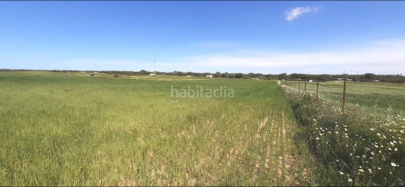 Foto 4983b325-23f3-41f0-9a95-31a7d98b9630. Masia a El Almedral Puerto Real