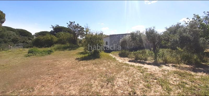 Foto 49c993f1-c59b-4fe0-b80e-8a0e8838b20a. Masia a El Almedral Puerto Real