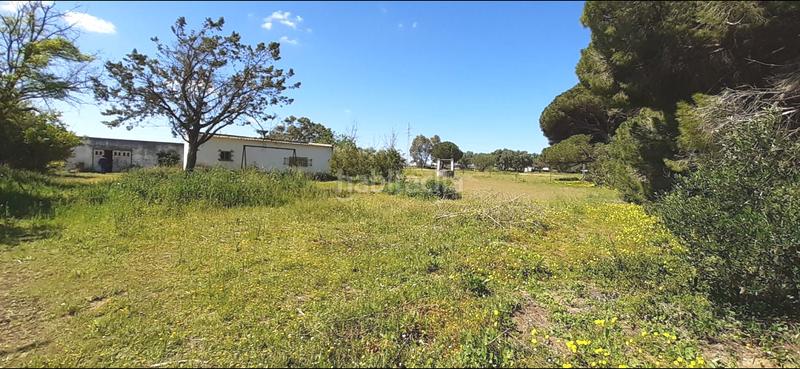 Foto 49e5ff25-6ccf-4794-b388-9ca0f570ae4a. Masia a El Almedral Puerto Real