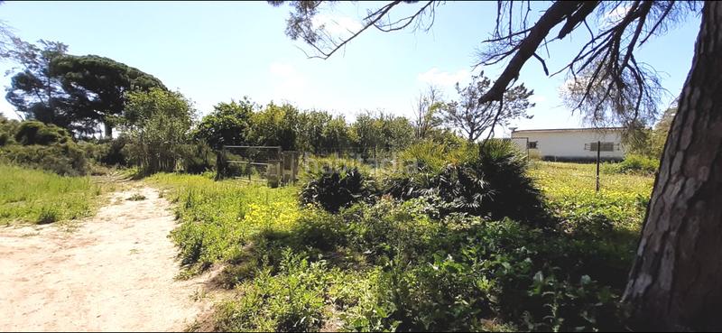 Foto 5b41a15b-b95e-4a90-926f-4467271096f9. Masia a El Almedral Puerto Real