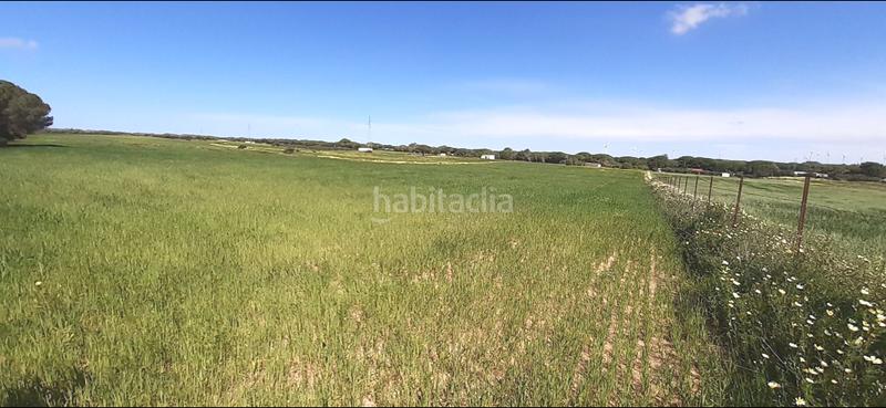 Foto 6b1729e1-c505-4498-b1fd-3c589e8bde28. Masia a El Almedral Puerto Real