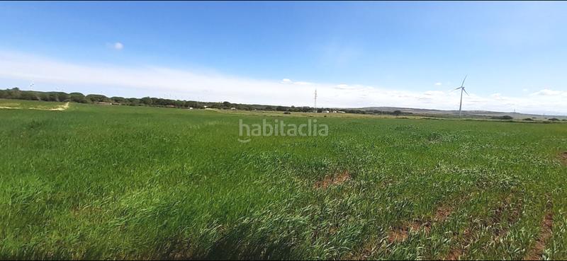 Foto 7b56a083-8d55-45db-83ac-5e6c1845b0a7. Masia a El Almedral Puerto Real