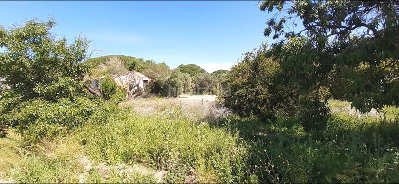 Foto 938d47a4-6516-4f05-ad5a-229e8a108e88. Masia a El Almedral Puerto Real