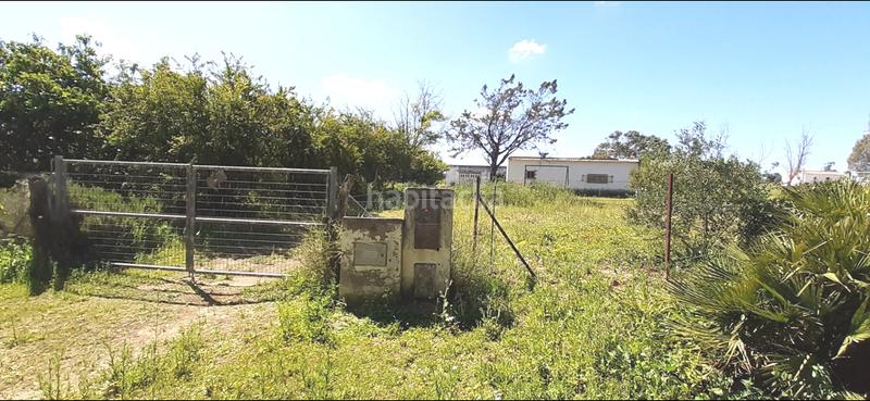 Foto b385b7b2-31d6-4bd3-9cdc-e5c7908b8441. Masia a El Almedral Puerto Real